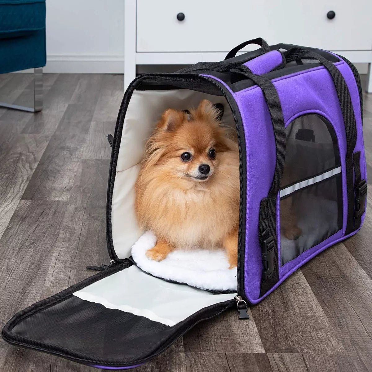 Sac de Transport pour Chien - DogCarrierBag™ - Violet - Chienpagnon