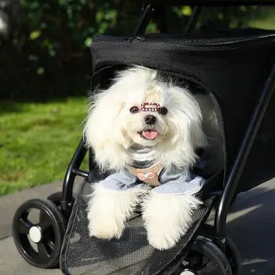 Poussette pour Chien - PetStroller™ - Noir - Chienpagnon