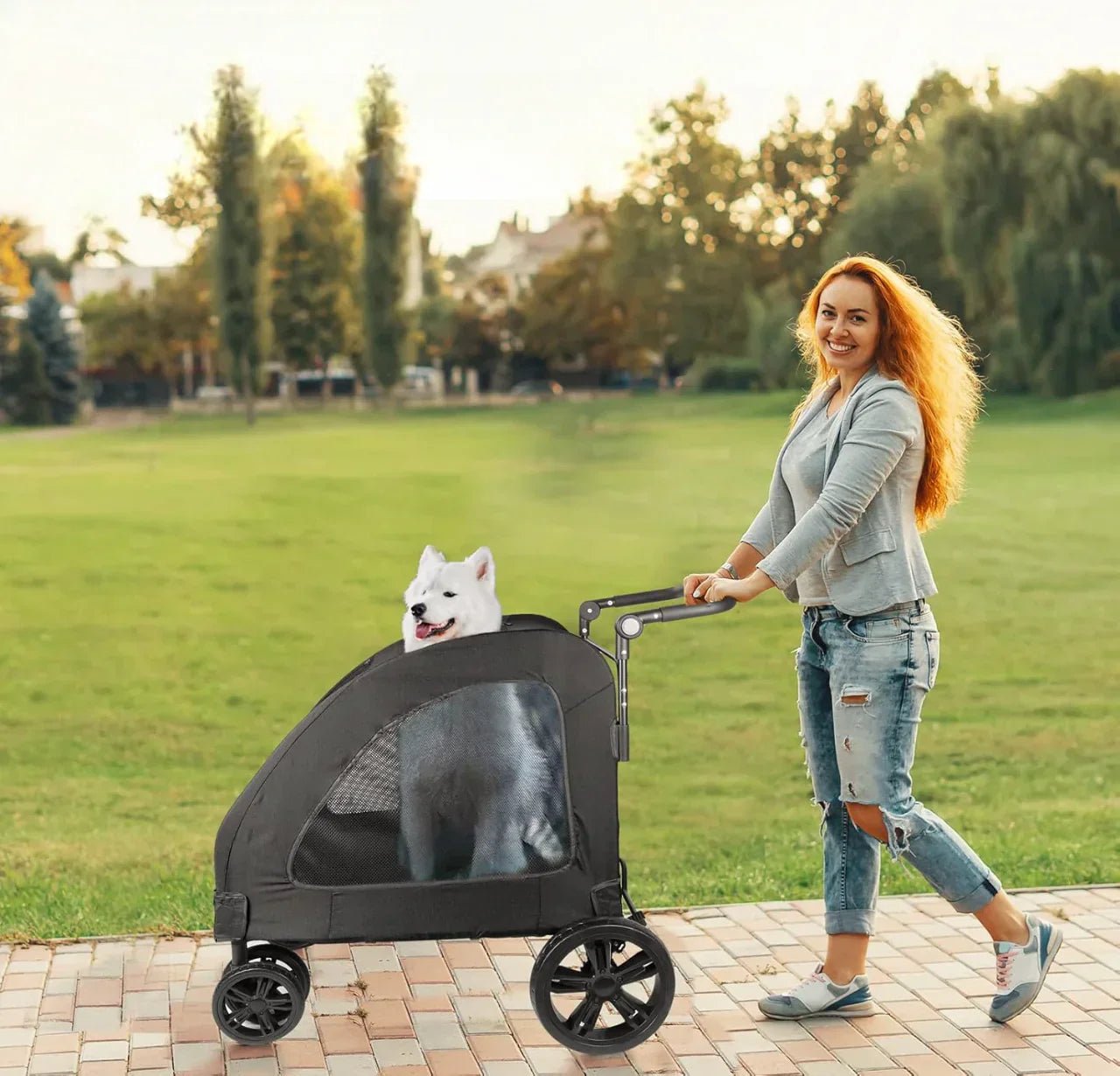 Poussette pour Chien - StrollyPet™ - Noir - Chienpagnon