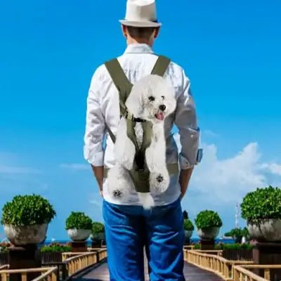 Sac à Dos pour Chien - PetCarrier™ - Vert - Chienpagnon