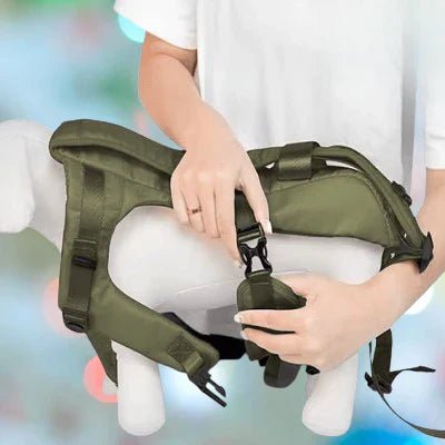 Sac à Dos pour Chien - PetCarrier™ - Vert - Chienpagnon