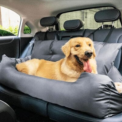 Siege Auto pour Chien - CarrierTravelDog™ - Gris - Chienpagnon